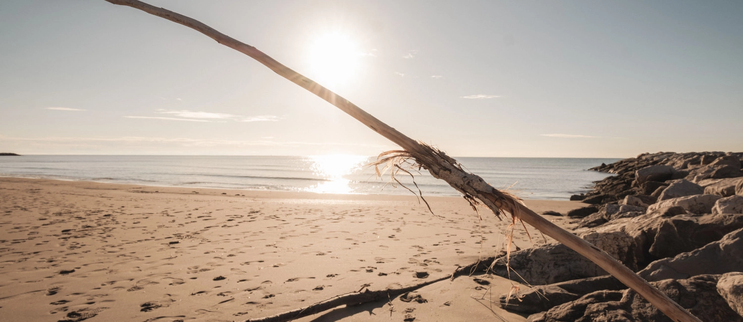 Urlaub in Cavallino Treporti mit dem vierbeinigen Freund