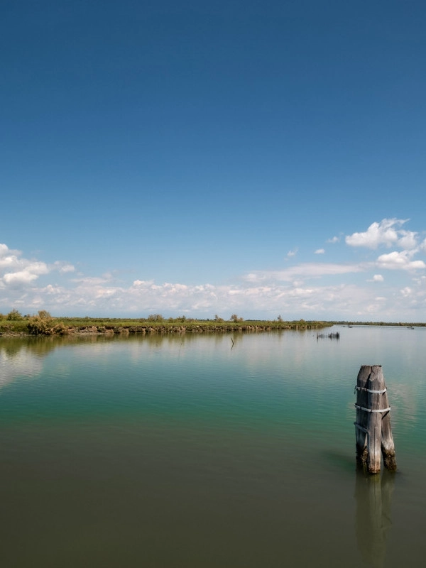 Radwege inmitten der Natur in Cavallino Treportic
