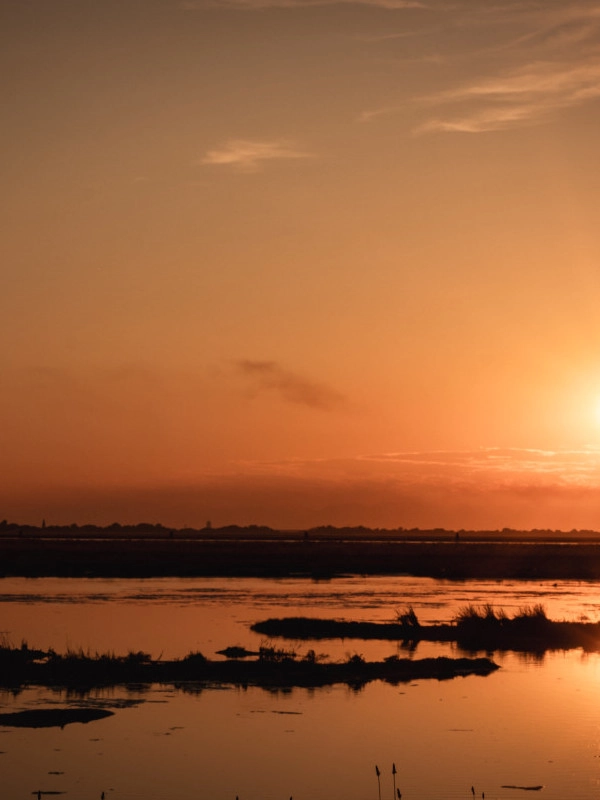 Lagune von Venedig in Cavallino-Treporti: Flamingos und einzigartige Landschaften