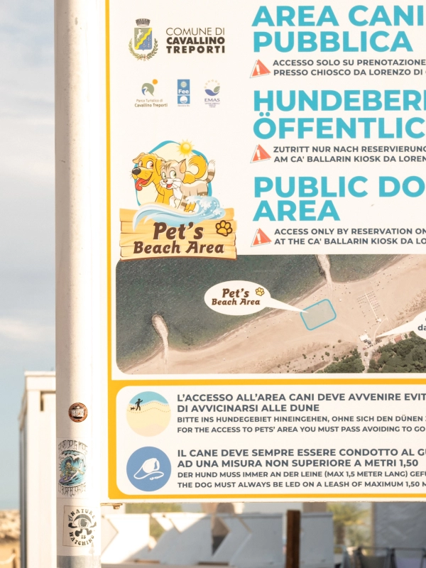 Hund spielt am Meer in Cavallino Treporti, hundefreundliche Strände