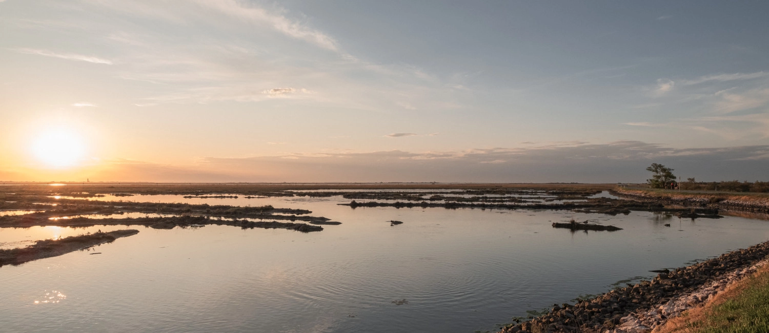 Lagoon Run 2025: corsa a Lio Piccolo Cavallino