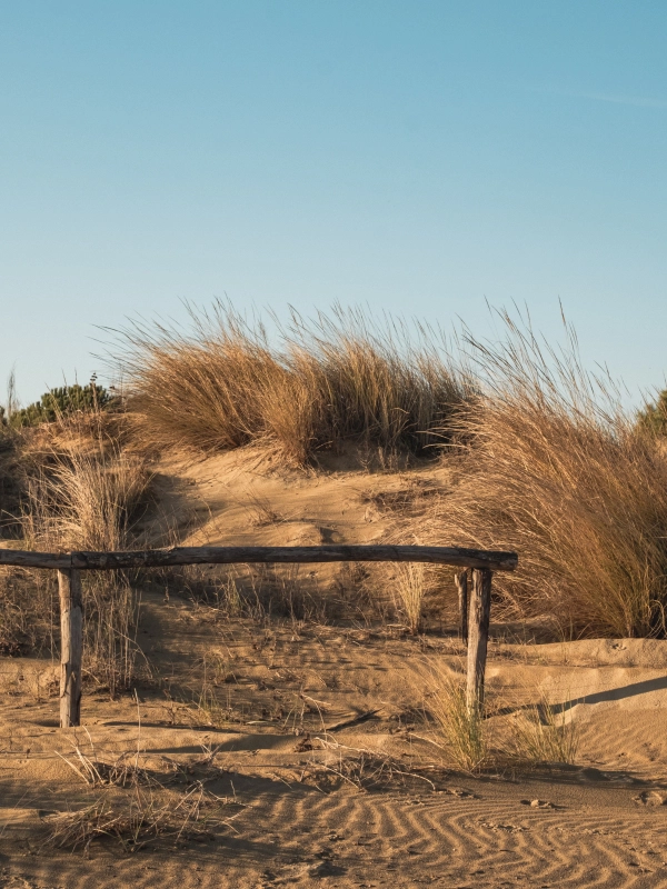 Tramonto sulla spiaggia di Cavallino Treporti, colori e atmosfere della laguna