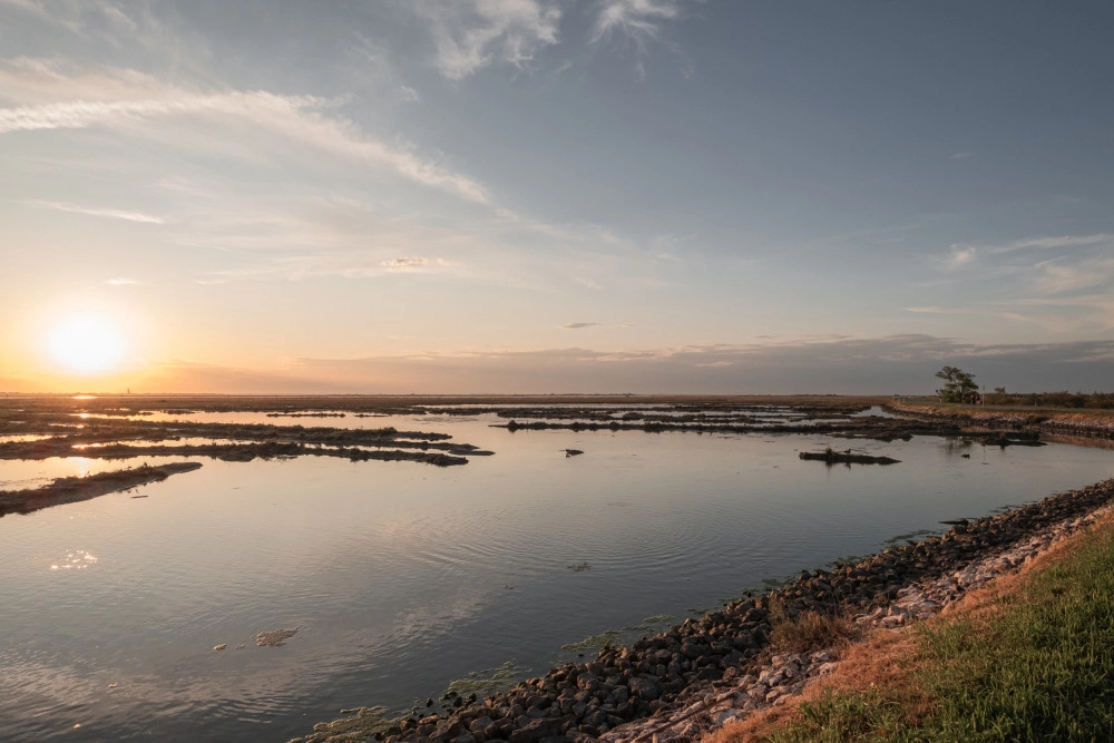 Primavera a Cavallino Treporti